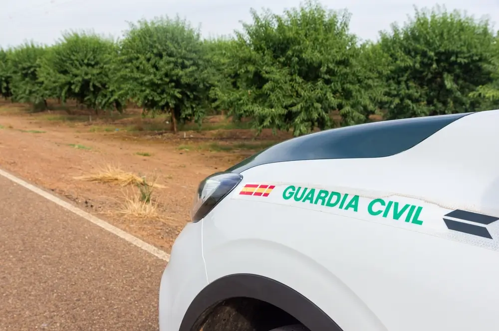 Coche patrulla de la Guardia Civil estacionado en una carretera nacional española junto a un campo de árboles.