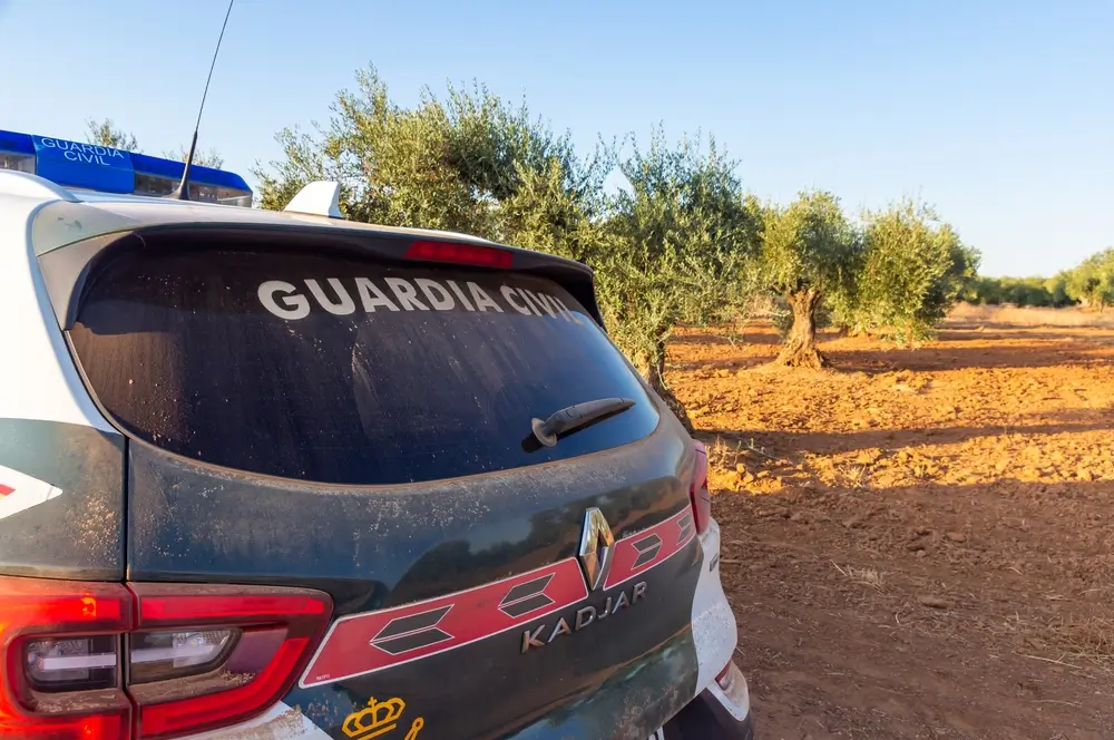 Vehículo de patrulla de la Guardia Civil en un campo de olivos, representando la labor de riesgo en el entorno rural.
